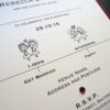 Same Sex Wedding Invitation featuring 2 brides