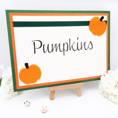 Cute Autumn Pumpkin themed Wedding Table Name Signs