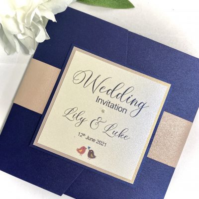 Little Love birds Navy and dusty pink pocketfold with belly band plaque